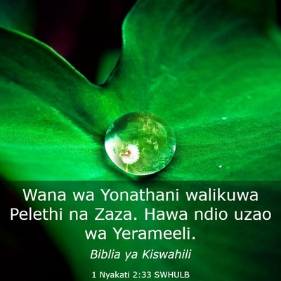 Picture 03 - 1 Nyakati 2:33 SWHULB - Wana wa Yonathani walikuwa Pelethi na Zaza. Hawa - Bible Verse Picture