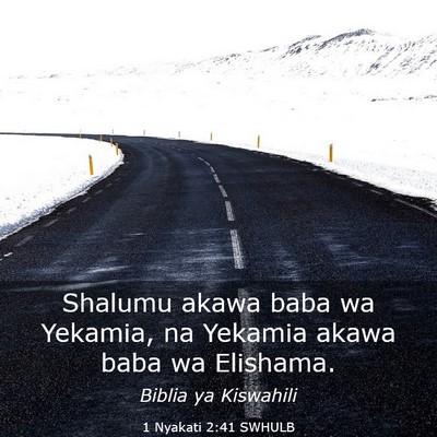 Picture 03 - 1 Nyakati 2:41 SWHULB - Shalumu akawa baba wa Yekamia, na Yekamia akawa - Bible Verse Picture