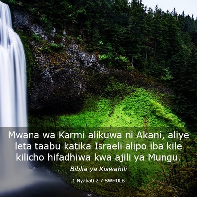 Picture 03 - 1 Nyakati 2:7 SWHULB - Mwana wa Karmi alikuwa ni Akani, aliye leta taabu - Bible Verse Picture