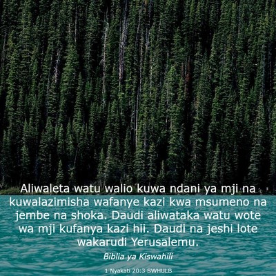 Picture 03 - 1 Nyakati 20:3 SWHULB - Aliwaleta watu walio kuwa ndani ya mji na - Bible Verse Picture