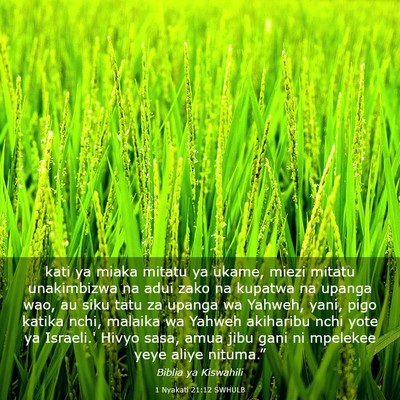 Picture 03 - 1 Nyakati 21:12 SWHULB - kati ya miaka mitatu ya ukame, miezi mitatu - Bible Verse Picture