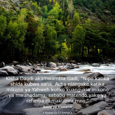 Picture 03 - 1 Nyakati 21:13 SWHULB - Kisha Daudi akamwambia Gadi, “Nipo katika shida - Bible Verse Picture