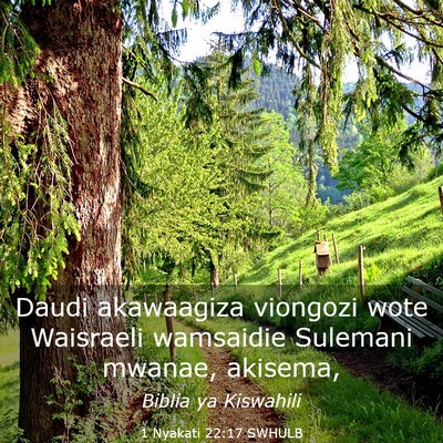 Picture 03 - 1 Nyakati 22:17 SWHULB - Daudi akawaagiza viongozi wote Waisraeli - Bible Verse Picture