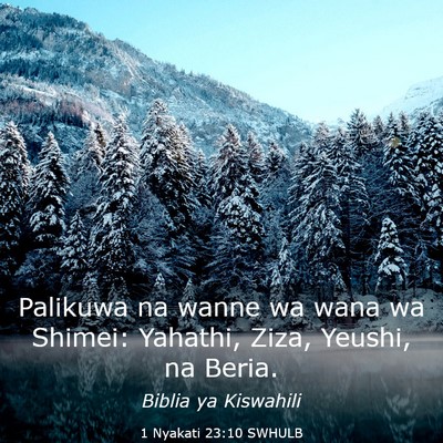 Picture 03 - 1 Nyakati 23:10 SWHULB - Palikuwa na wanne wa wana wa Shimei: Yahathi, - Bible Verse Picture