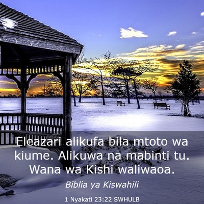 Picture 03 - 1 Nyakati 23:22 SWHULB - Eleazari alikufa bila mtoto wa kiume. Alikuwa na - Bible Verse Picture