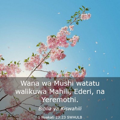 Picture 03 - 1 Nyakati 23:23 SWHULB - Wana wa Mushi watatu walikuwa Mahili, Ederi, na - Bible Verse Picture