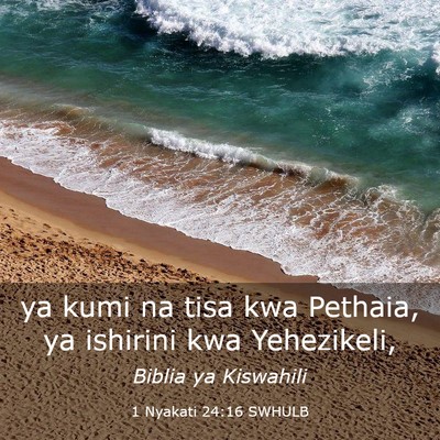 Picture 03 - 1 Nyakati 24:16 SWHULB - ya kumi na tisa kwa Pethaia, ya ishirini kwa - Bible Verse Picture