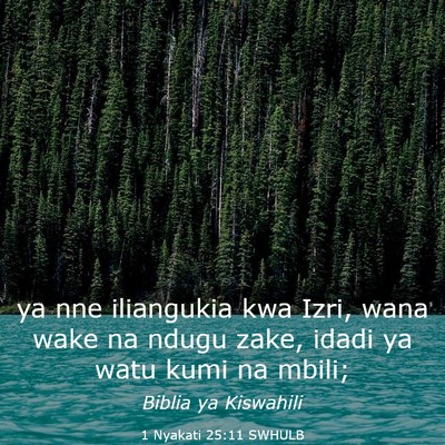 Picture 03 - 1 Nyakati 25:11 SWHULB - ya nne iliangukia kwa Izri, wana wake na ndugu - Bible Verse Picture
