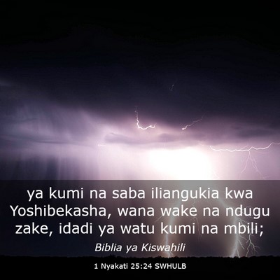 Picture 03 - 1 Nyakati 25:24 SWHULB - ya kumi na saba iliangukia kwa Yoshibekasha, wana - Bible Verse Picture
