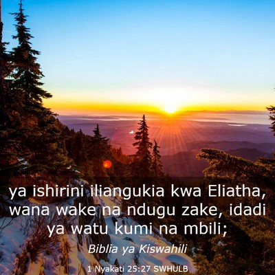 Picture 03 - 1 Nyakati 25:27 SWHULB - ya ishirini iliangukia kwa Eliatha, wana wake na - Bible Verse Picture