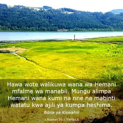 Picture 03 - 1 Nyakati 25:5 SWHULB - Hawa wote walikuwa wana wa Hemani mfalme wa - Bible Verse Picture