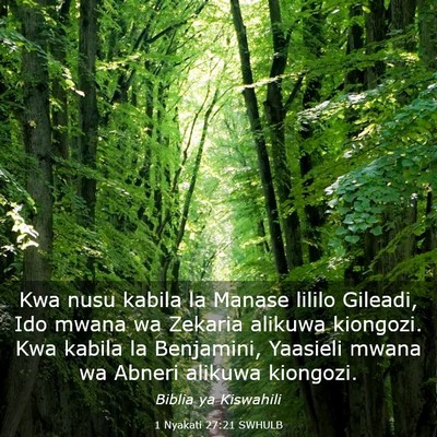 Picture 03 - 1 Nyakati 27:21 SWHULB - Kwa nusu kabila la Manase lililo Gileadi, Ido - Bible Verse Picture