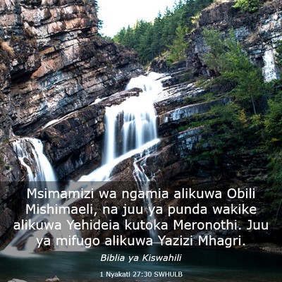 Picture 03 - 1 Nyakati 27:30 SWHULB - Msimamizi wa ngamia alikuwa Obili Mishimaeli, na - Bible Verse Picture
