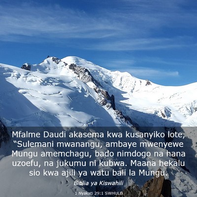 Picture 03 - 1 Nyakati 29:1 SWHULB - Mfalme Daudi akasema kwa kusanyiko lote, - Bible Verse Picture