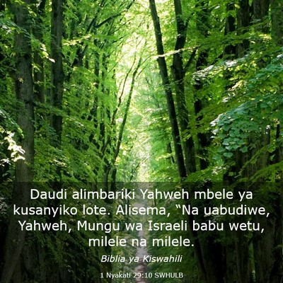 Picture 03 - 1 Nyakati 29:10 SWHULB - Daudi alimbariki Yahweh mbele ya kusanyiko lote. - Bible Verse Picture