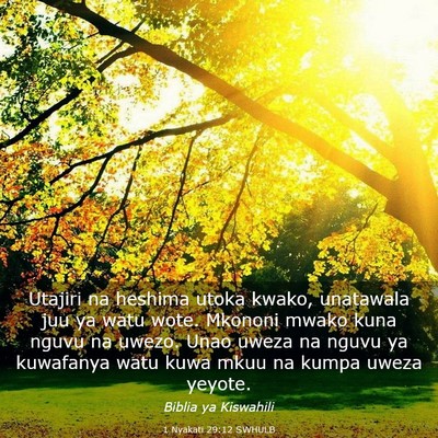 Picture 03 - 1 Nyakati 29:12 SWHULB - Utajiri na heshima utoka kwako, unatawala juu ya - Bible Verse Picture