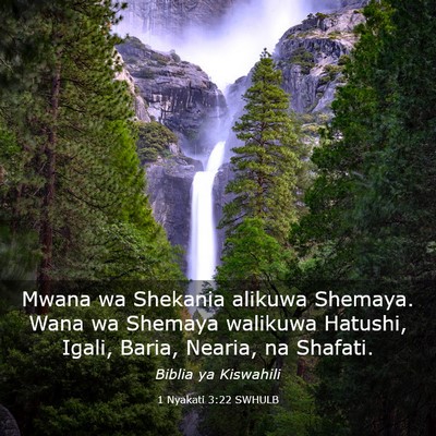 Picture 03 - 1 Nyakati 3:22 SWHULB - Mwana wa Shekania alikuwa Shemaya. Wana wa - Bible Verse Picture