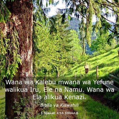 Picture 03 - 1 Nyakati 4:15 SWHULB - Wana wa Kalebu mwana wa Yefune walikua Iru, Ele - Bible Verse Picture