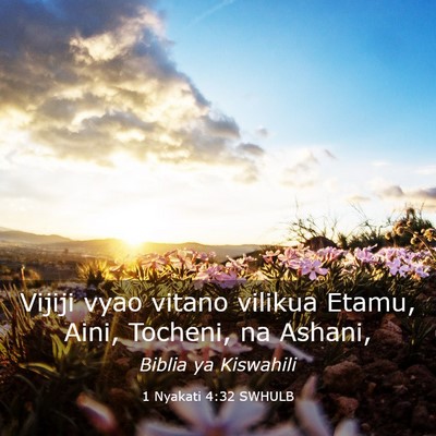 Picture 03 - 1 Nyakati 4:32 SWHULB - Vijiji vyao vitano vilikua Etamu, Aini, Tocheni, - Bible Verse Picture
