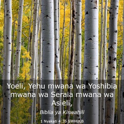 Picture 03 - 1 Nyakati 4:35 SWHULB - Yoeli, Yehu mwana wa Yoshibia mwana wa Seraia - Bible Verse Picture
