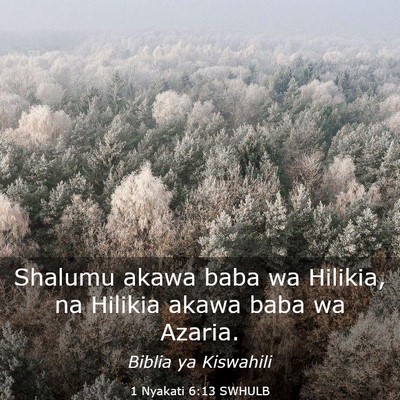Picture 03 - 1 Nyakati 6:13 SWHULB - Shalumu akawa baba wa Hilikia, na Hilikia akawa - Bible Verse Picture