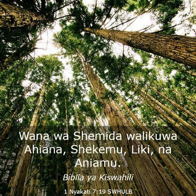 Picture 03 - 1 Nyakati 7:19 SWHULB - Wana wa Shemida walikuwa Ahiana, Shekemu, Liki, - Bible Verse Picture