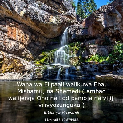 Picture 03 - 1 Nyakati 8:12 SWHULB - Wana wa Elipaali walikuwa Eba, Mishamu, na - Bible Verse Picture