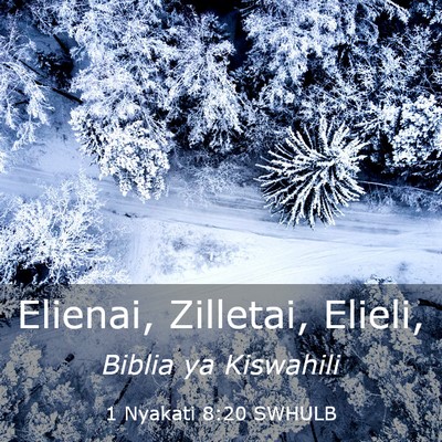 Picture 03 - 1 Nyakati 8:20 SWHULB - Elienai, Zilletai, - Bible Verse Picture
