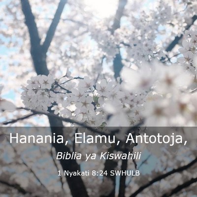 Picture 03 - 1 Nyakati 8:24 SWHULB - Hanania, Elamu, - Bible Verse Picture