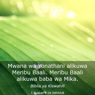 Picture 03 - 1 Nyakati 8:34 SWHULB - Mwana wa Yonathani alikuwa Meribu Baali. Meribu - Bible Verse Picture
