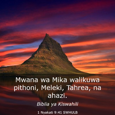 Picture 03 - 1 Nyakati 9:41 SWHULB - Mwana wa Mika walikuwa pithoni, Meleki, Tahrea, - Bible Verse Picture