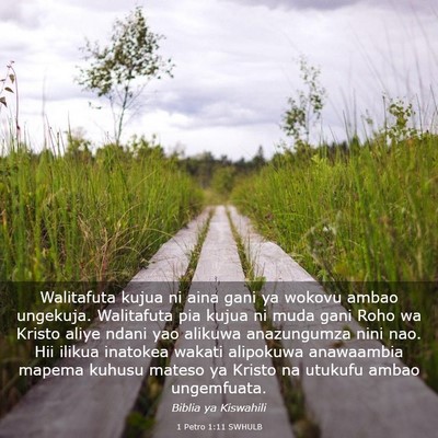 Picture 03 - 1 Petro 1:11 SWHULB - Walitafuta kujua ni aina gani ya wokovu ambao - Bible Verse Picture