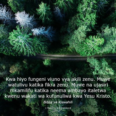 Picture 03 - 1 Petro 1:13 SWHULB - Kwa hiyo fungeni viuno vya akili zenu. Muwe - Bible Verse Picture