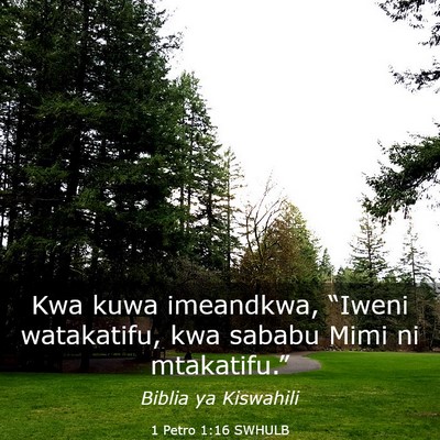 Picture 03 - 1 Petro 1:16 SWHULB - Kwa kuwa imeandkwa, “Iweni watakatifu, kwa - Bible Verse Picture