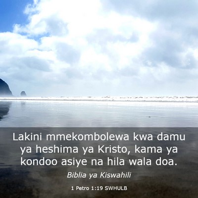 Picture 03 - 1 Petro 1:19 SWHULB - Lakini mmekombolewa kwa damu ya heshima ya - Bible Verse Picture