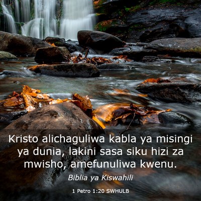 Picture 03 - 1 Petro 1:20 SWHULB - Kristo alichaguliwa kabla ya misingi ya dunia, - Bible Verse Picture