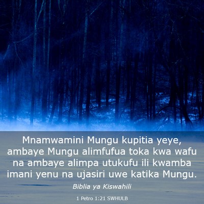 Picture 03 - 1 Petro 1:21 SWHULB - Mnamwamini Mungu kupitia yeye, ambaye Mungu - Bible Verse Picture