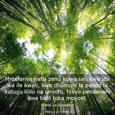 Picture 03 - 1 Petro 1:22 SWHULB - Mmefanya nafsi zenu kuwa safi kwa utii wa ile - Bible Verse Picture