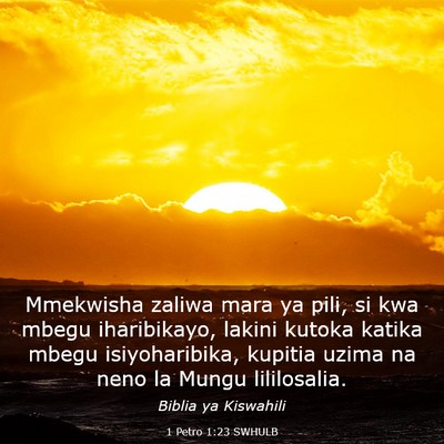 Picture 03 - 1 Petro 1:23 SWHULB - Mmekwisha zaliwa mara ya pili, si kwa mbegu - Bible Verse Picture