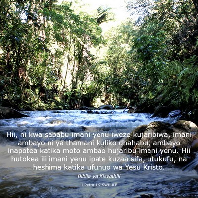Picture 03 - 1 Petro 1:7 SWHULB - Hii, ni kwa sababu imani yenu iweze kujaribiwa, - Bible Verse Picture