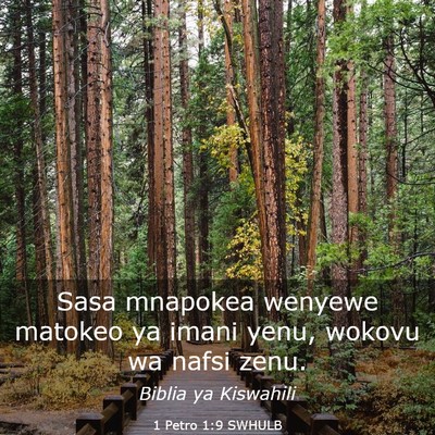 Picture 03 - 1 Petro 1:9 SWHULB - Sasa mnapokea wenyewe matokeo ya imani yenu, - Bible Verse Picture
