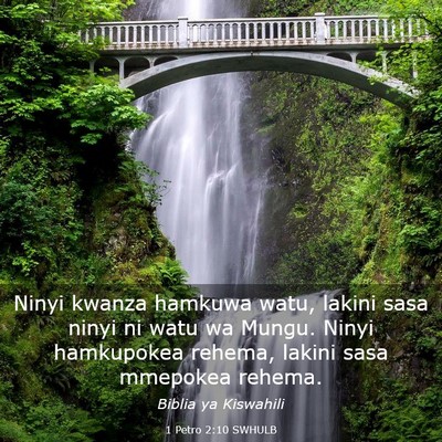Picture 03 - 1 Petro 2:10 SWHULB - Ninyi kwanza hamkuwa watu, lakini sasa ninyi ni - Bible Verse Picture