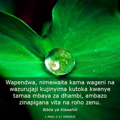 Picture 03 - 1 Petro 2:11 SWHULB - Wapendwa, nimewaita kama wageni na wazurujaji - Bible Verse Picture