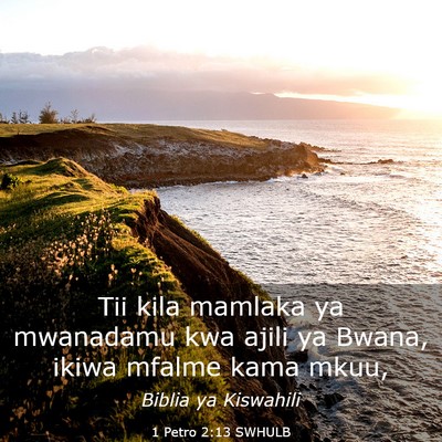 Picture 03 - 1 Petro 2:13 SWHULB - Tii kila mamlaka ya mwanadamu kwa ajili ya Bwana, - Bible Verse Picture