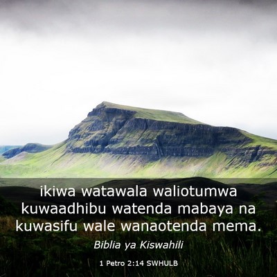 Picture 03 - 1 Petro 2:14 SWHULB - ikiwa watawala waliotumwa kuwaadhibu watenda - Bible Verse Picture