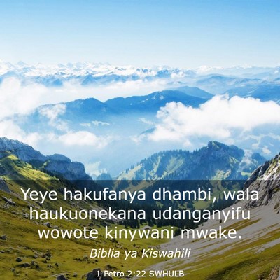 Picture 03 - 1 Petro 2:22 SWHULB - Yeye hakufanya dhambi, wala haukuonekana - Bible Verse Picture