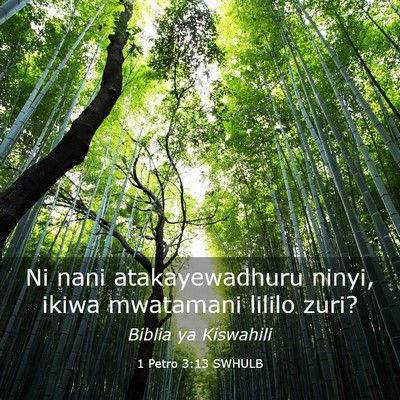 Picture 03 - 1 Petro 3:13 SWHULB - Ni nani atakayewadhuru ninyi, ikiwa mwatamani - Bible Verse Picture