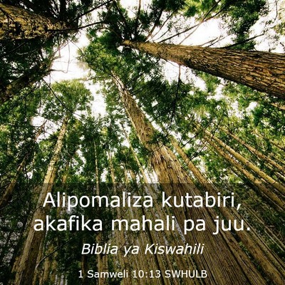 Picture 03 - 1 Samweli 10:13 SWHULB - Alipomaliza kutabiri, akafika mahali pa - Bible Verse Picture