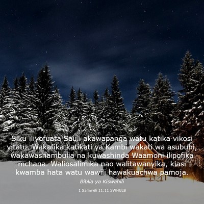 Picture 03 - 1 Samweli 11:11 SWHULB - Siku iliyofuata Sauli akawapanga watu katika - Bible Verse Picture