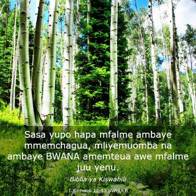 Picture 03 - 1 Samweli 12:13 SWHULB - Sasa yupo hapa mfalme ambaye mmemchagua, - Bible Verse Picture